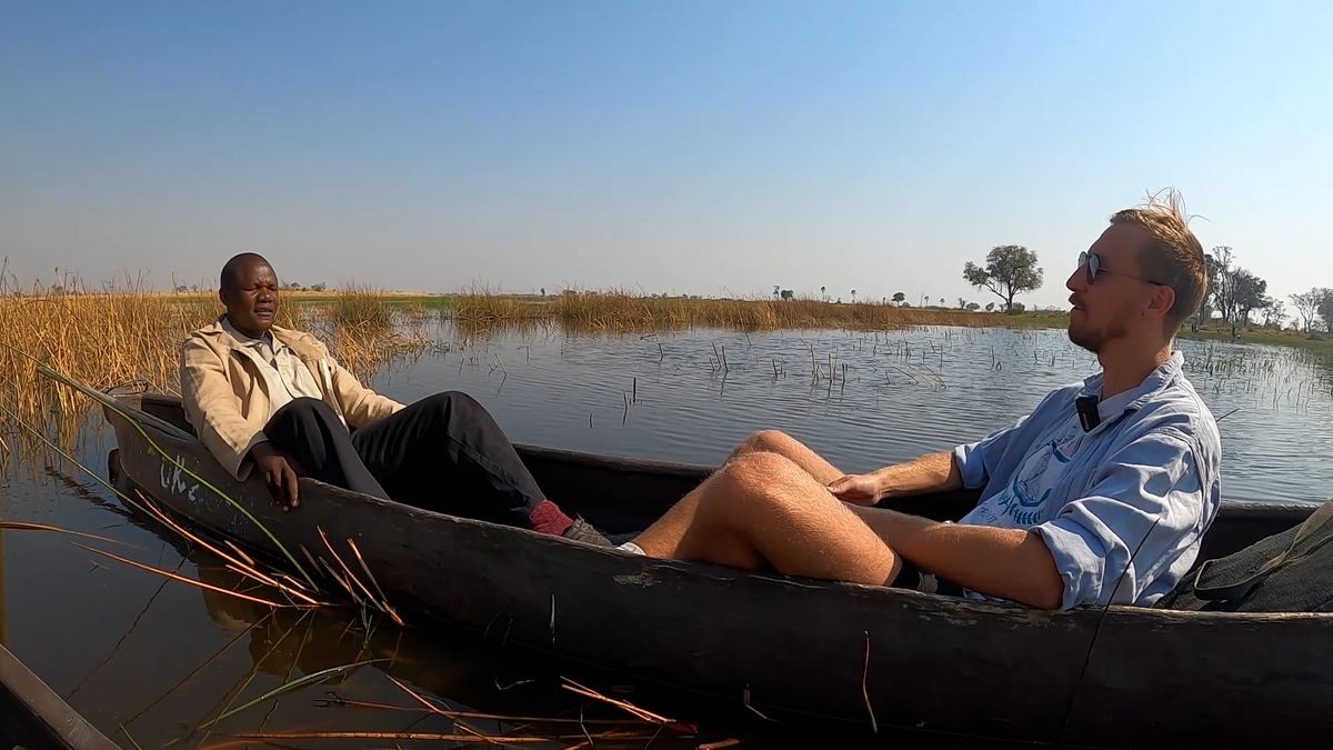 Při útoku lva je třeba nehybně stát, říká průvodce v srdci delty Okavango